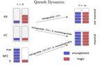 Stabilizer entropy in non-integrable quantum evolutions